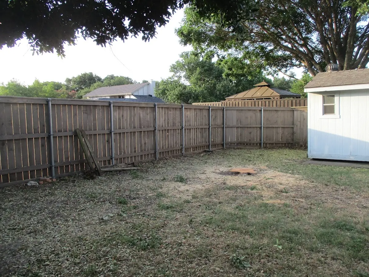 Cleared yard after professional tree removal in Poulan